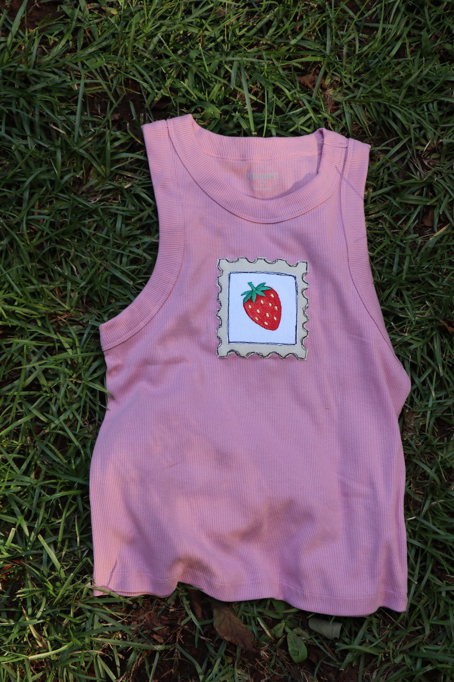 strawberry tank