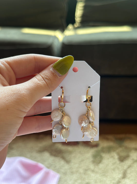 Earrings #311