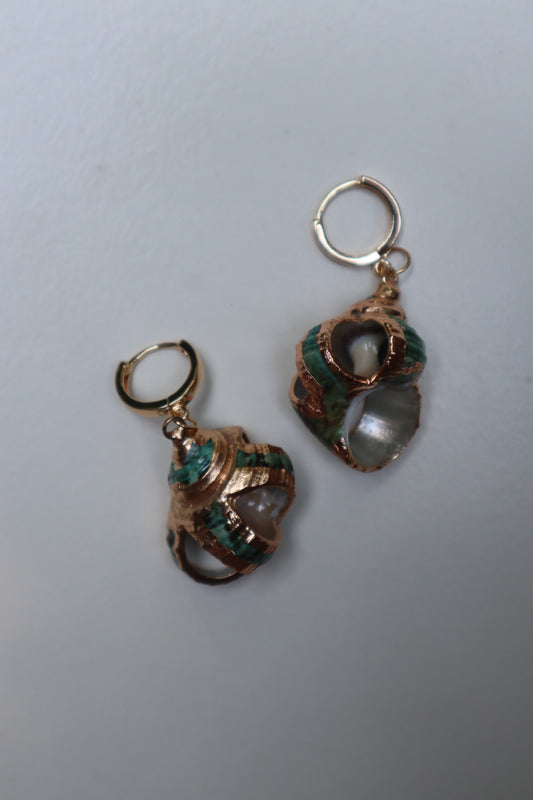 blue conch